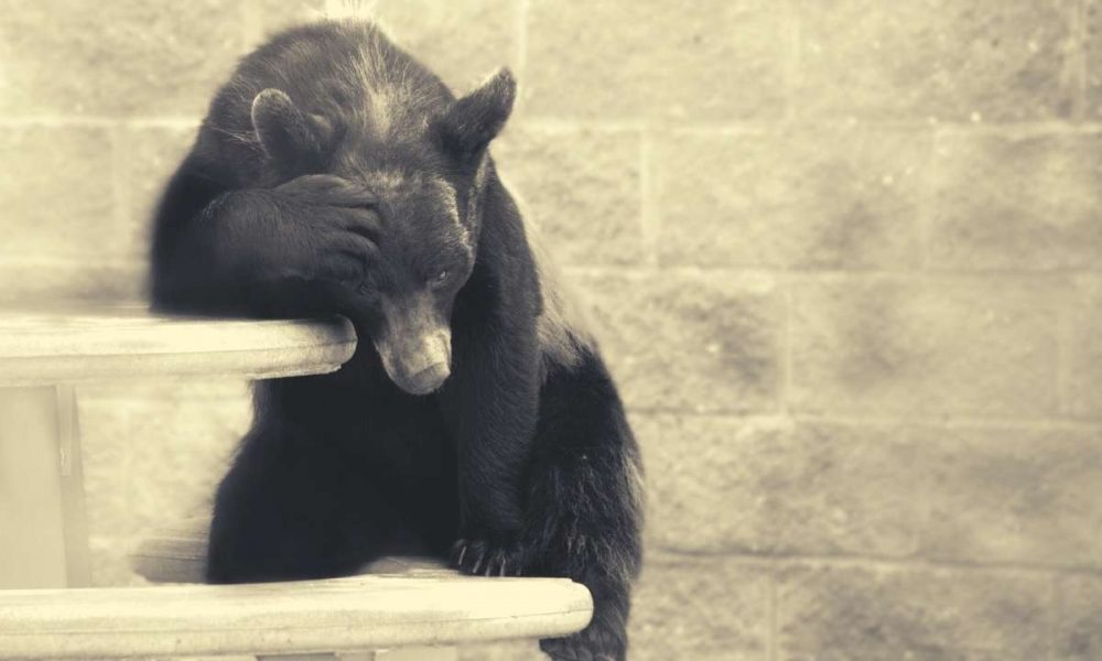 $500M in Shorts Liquidated as Bitcoin (BTC) Blasts Above
$101K