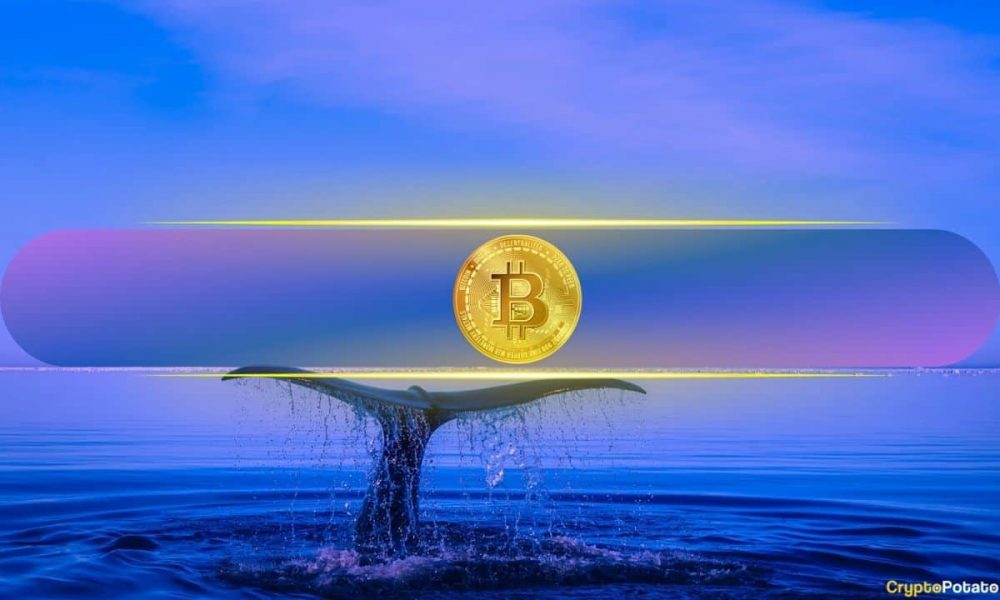 Big Bitcoin Bet as BTC Whale Doubles Down With $393 Million
Long Position
