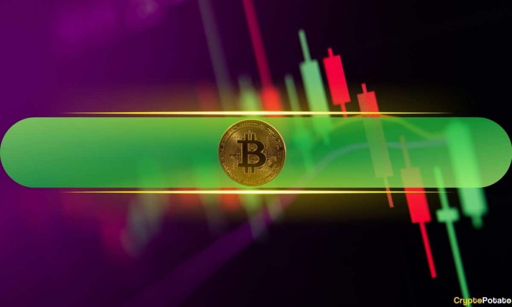 Crypto Markets Skyrocket by Almost $400B in Days as BTC
Price Surges Past $103K (Weekend Watch)