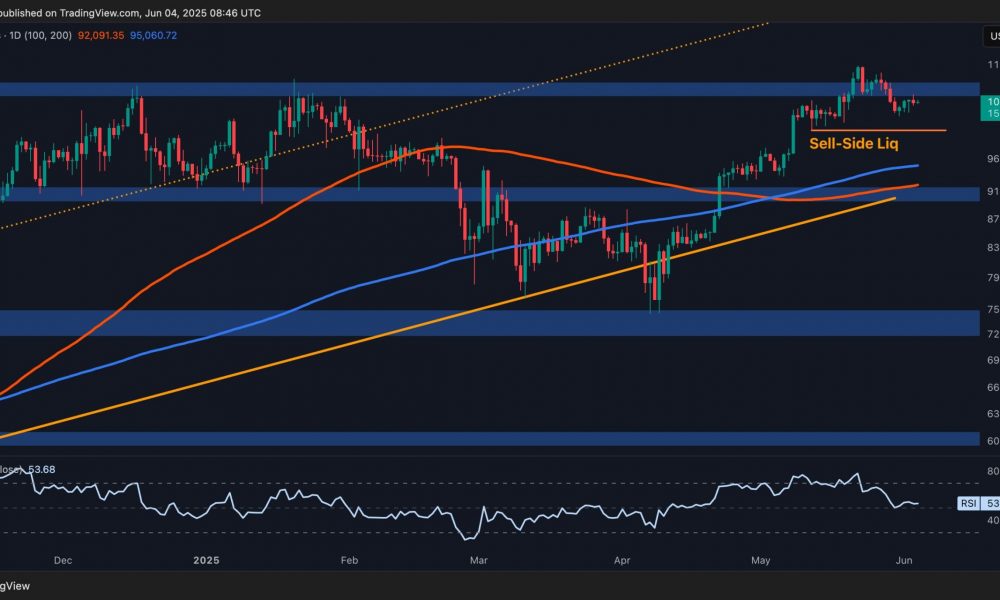 Bitcoin Price Analysis: Is BTC Poised to Retest the $100K
Support?