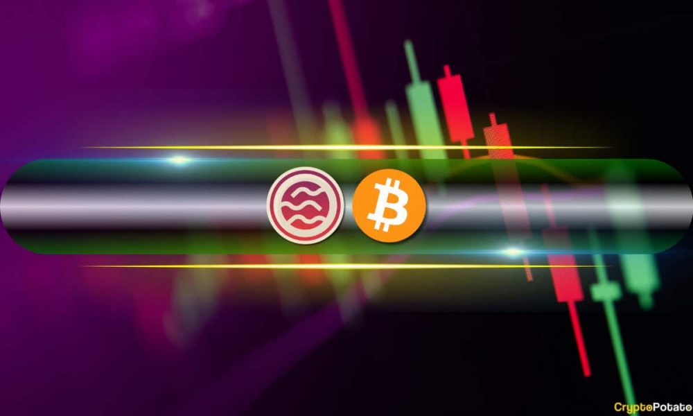 Crypto Markets Bounce, SEI Explodes by 41% Daily, But
Warning Signs Quickly Pop (Market Watch)