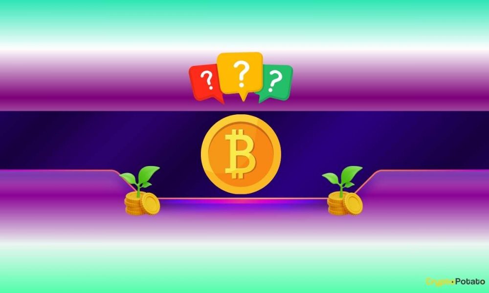 How Much You Should Invest in Bitcoin (BTC)? Veteran Trader
Peter Brandt Weighs in