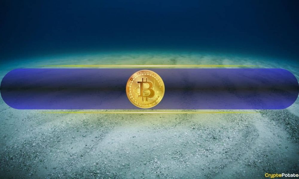 Is Bitcoin Done Falling? Market Metrics Say the Worst May Be
Over