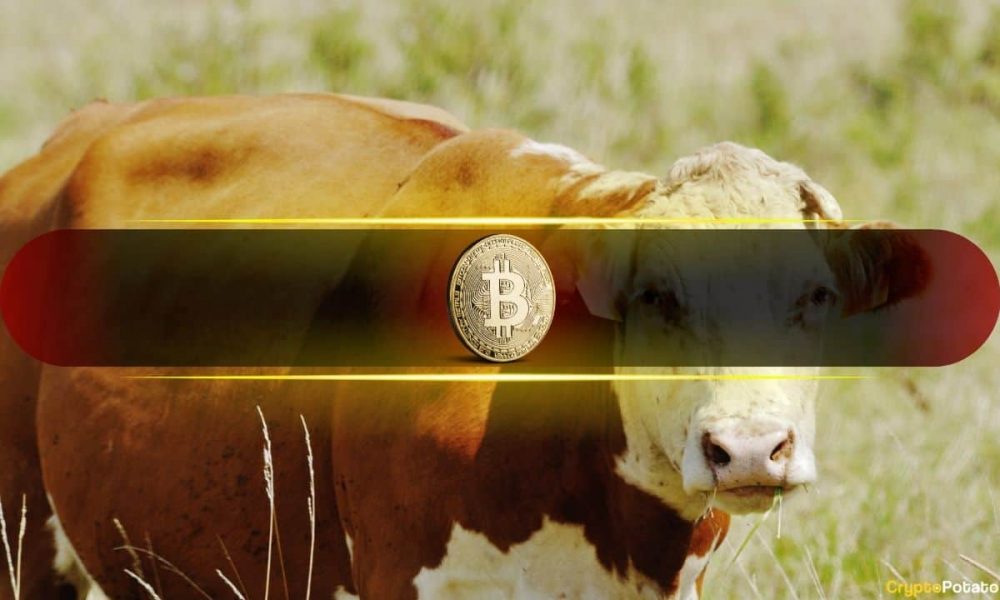 Last Time Bitcoin Did This, the Price Went From $60K to
$100K
