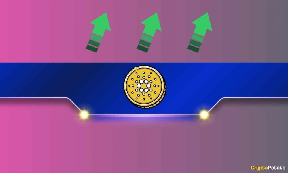 Major Cardano (ADA) Community Announcement: Details