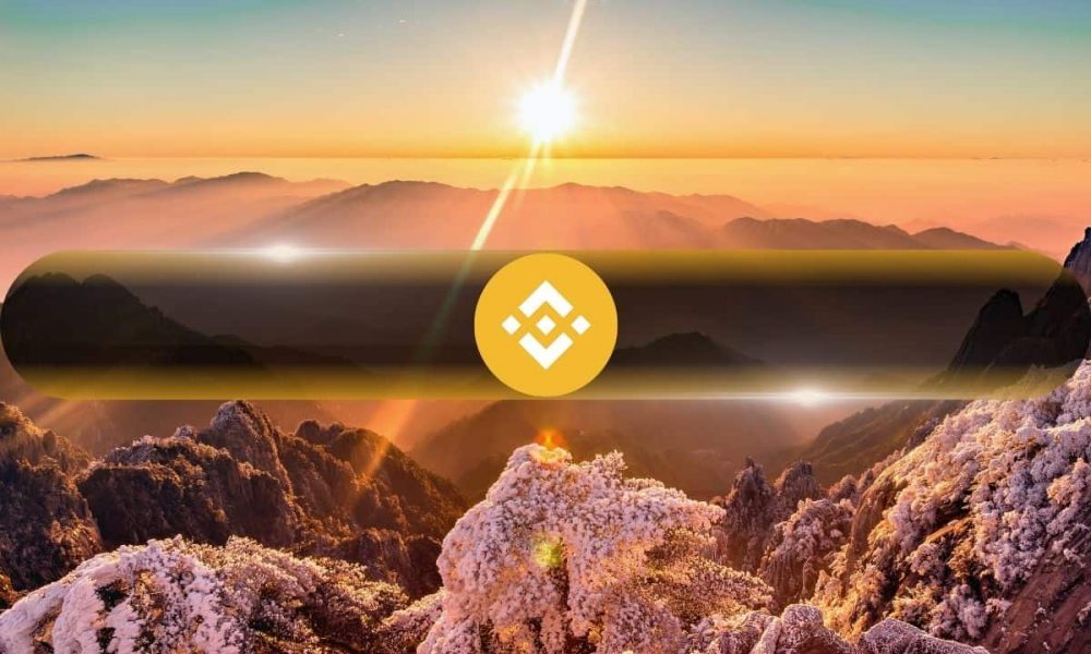 Nano Labs Bets $500M on Binance Coin (BNB) as
Treasury