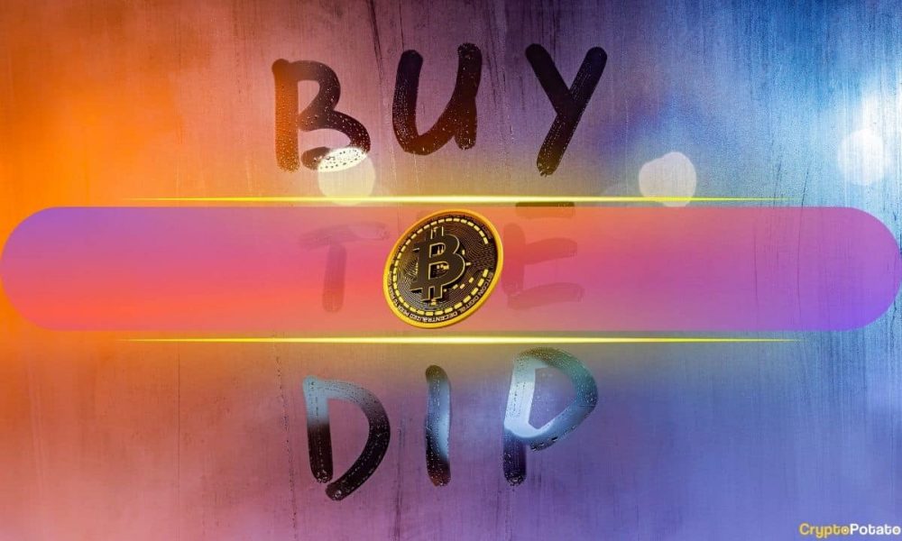 On-Chain Data Signals ‘Buy the Dip’ as Bitcoin Hashrate Hits
New Highs