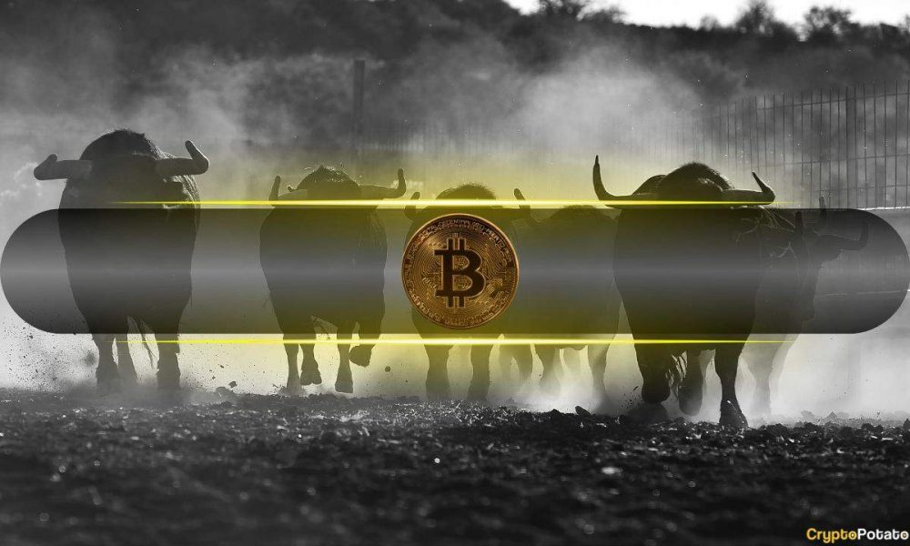 Shocking Amount of BTC Absorbed by Buyers During Recent
Market Turmoil