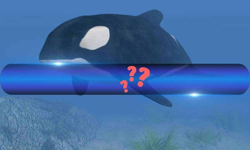 4 Cryptocurrencies to Watch as Smart Whale Opens Massive
Long Position