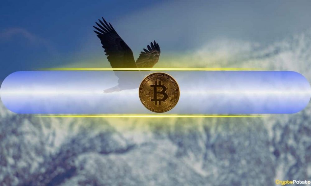 Bitcoin Blasts to New ATH Above $113K, Leaving $600M in
Liquidations