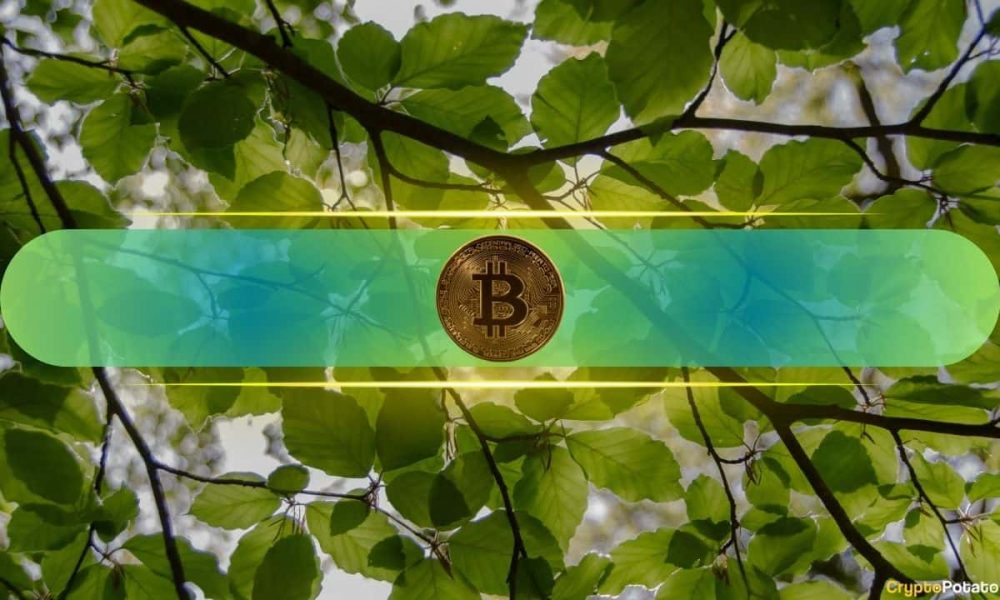 Bitcoin Hits Fresh All-Time High as Saylor and Kiyosaki Want
to Buy More