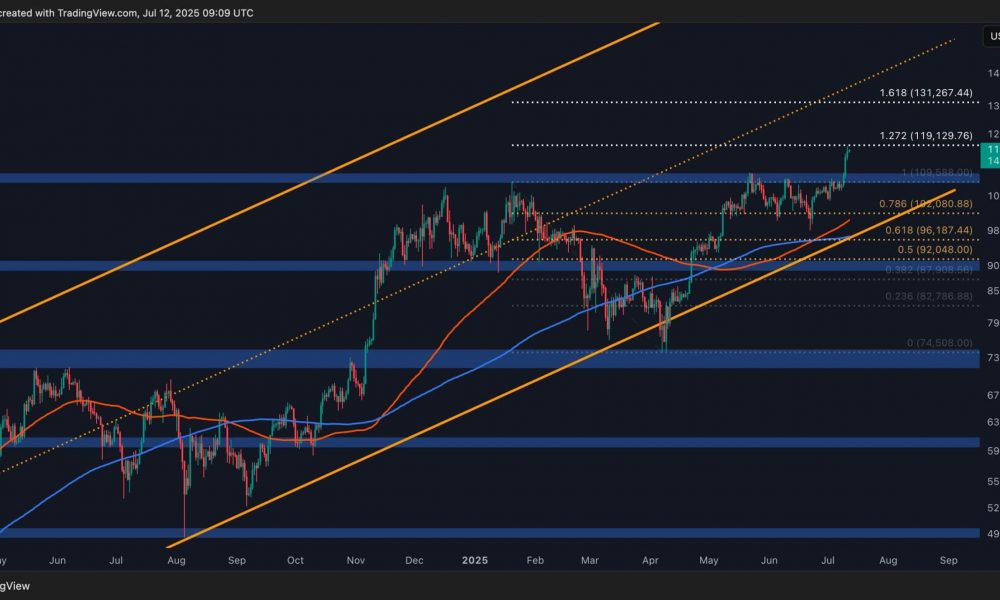 Bitcoin Price Analysis: Is a Correction Coming or Will BTC
Break $120K Next?