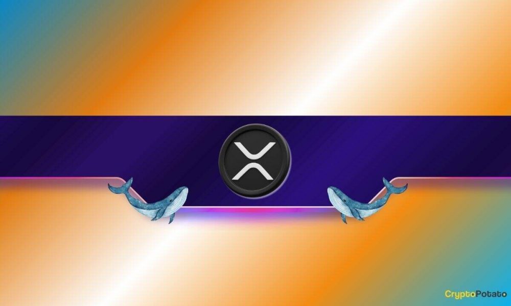 XRP Price Jumps 26% Weekly as Whale Moves in: $3 Breakout
Ahead?