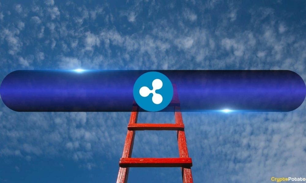 XRP Prices Hit 7-Week Peak as This Crucial Metric Suggests
Further Gains
