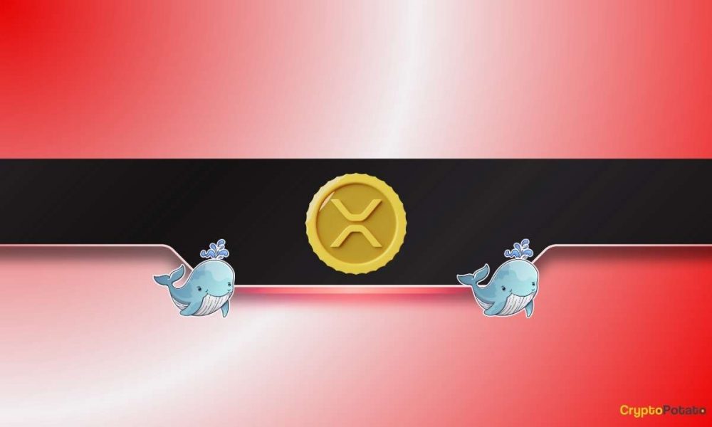4 XRP Warning Signs Flash: Is Ripple’s Price About to
Tumble?
