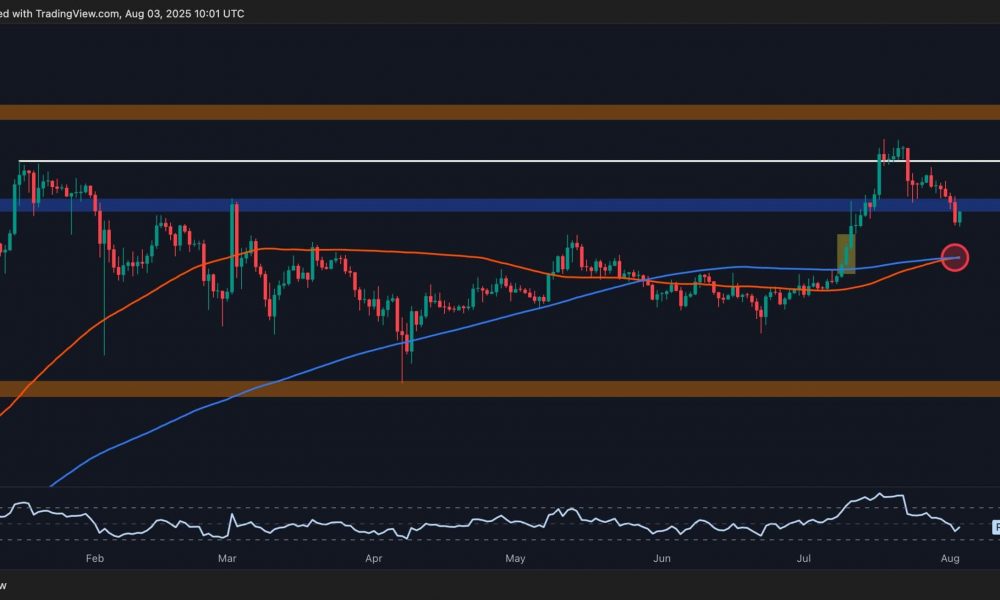 Ripple Price Analysis: These Are XRP’s Next Defense Lines
After a Breakdown Below $3
